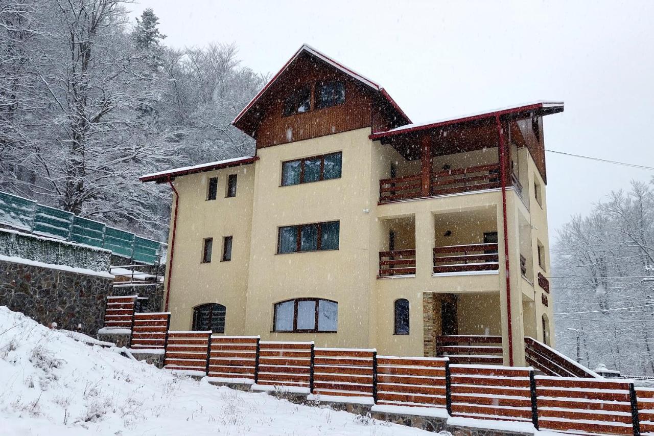 Buşteni Casa Raisa酒店 外观 照片